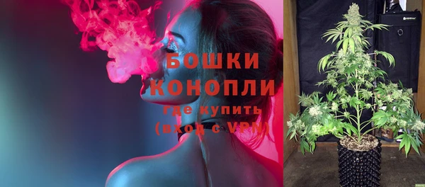 дурь Богородицк
