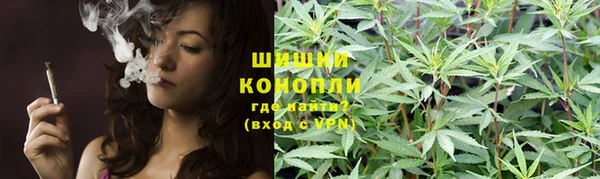 дурь Богородицк