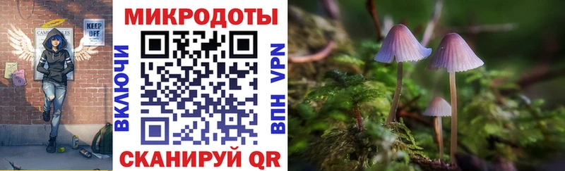 Купить где  Новоульяновск  Псилоцибиновые грибы мухоморы 